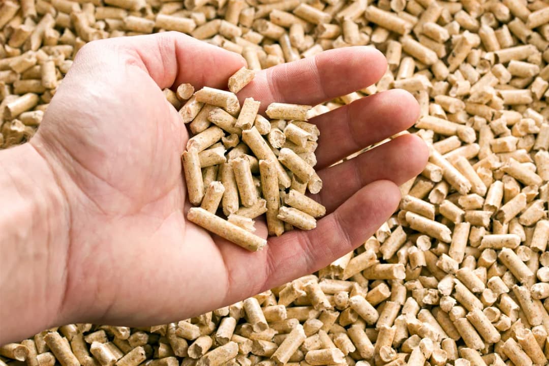 Jak wygląda pellet? Kluczowe cechy, które musisz znać przed zakupem