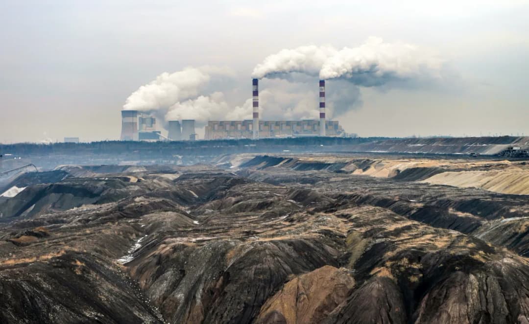 Czy ekogroszek to biomasa? Odkryj prawdę o jego ekologiczności